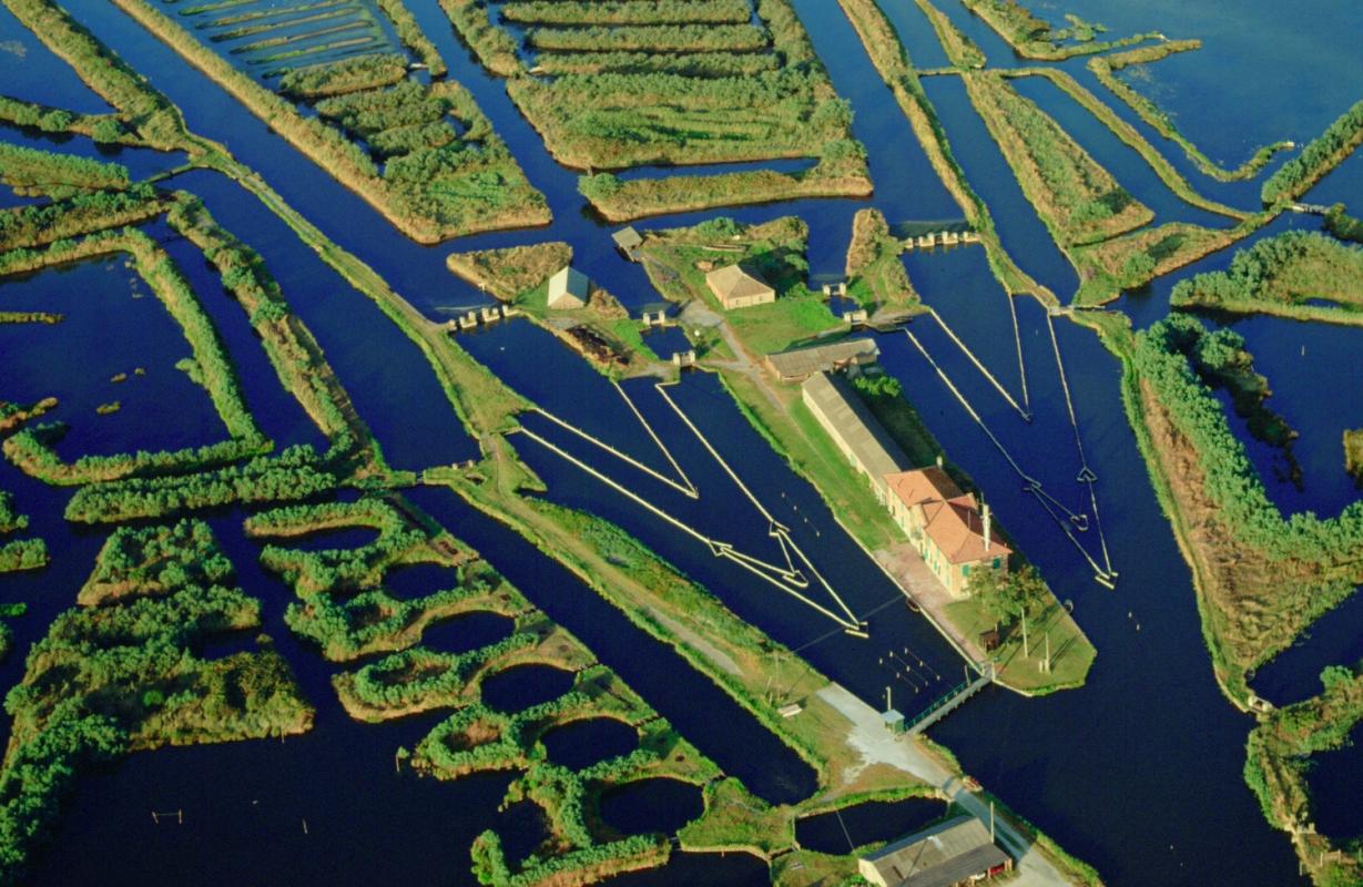 parco_delta